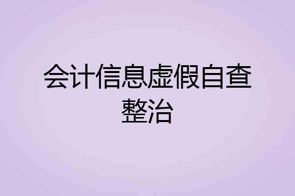 会计信息虚假自查整治