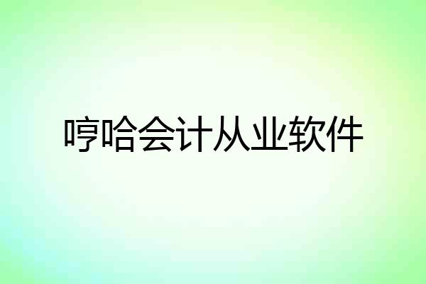 哼哈会计从业软件