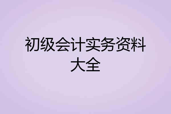 初级会计实务资料大全