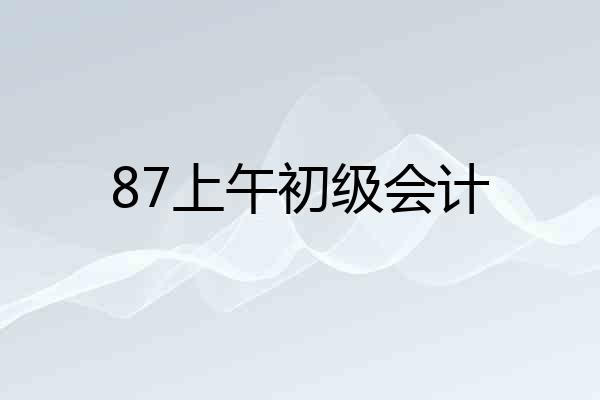 87上午初级会计