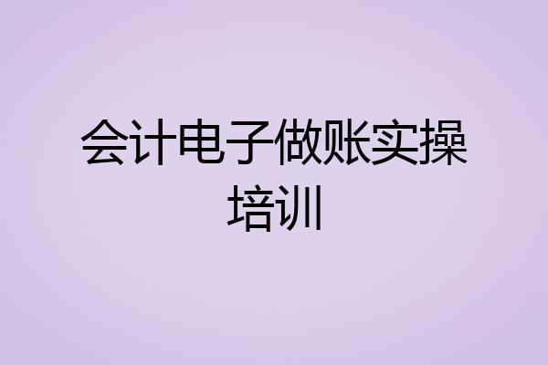 会计电子做账实操培训