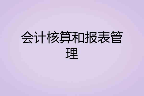 会计核算和报表管理