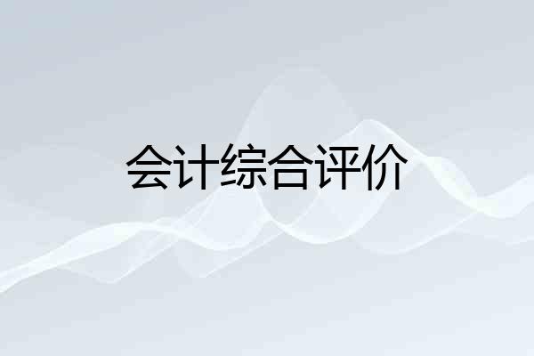会计综合评价