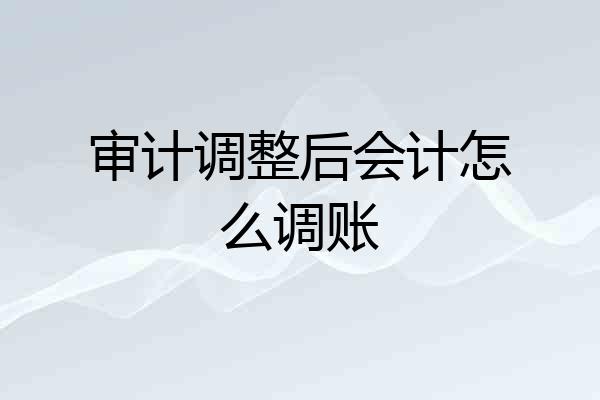 审计调整后会计怎么调账