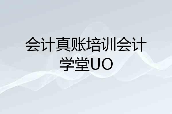 会计真账培训会计学堂UO