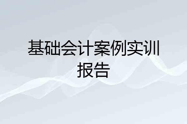 基础会计案例实训报告