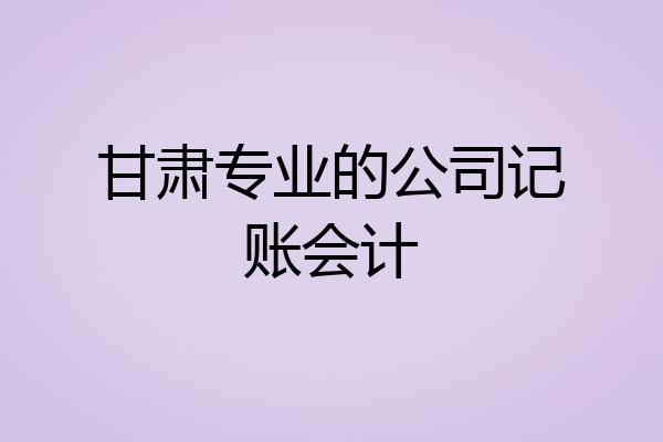 甘肃专业的公司记账会计