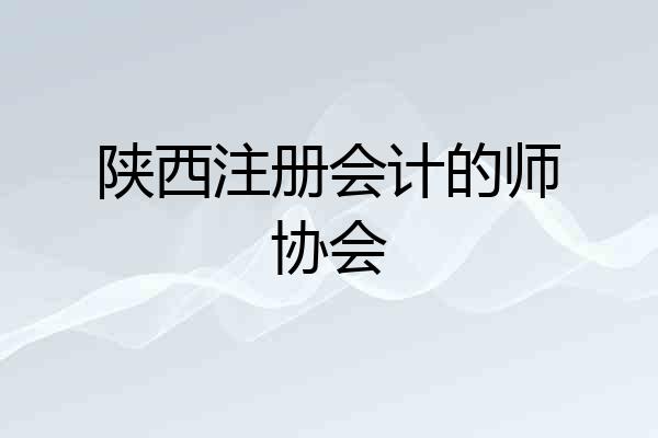 陕西注册会计的师协会