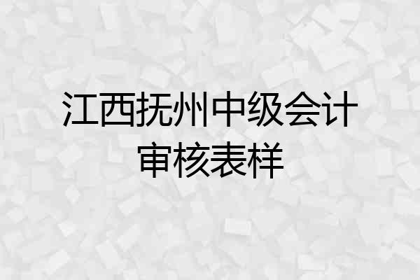 江西抚州中级会计审核表样