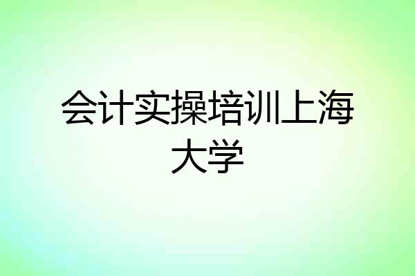 会计实操培训上海大学