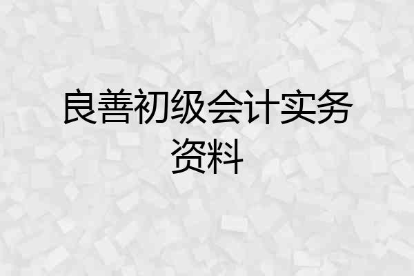 良善初级会计实务资料