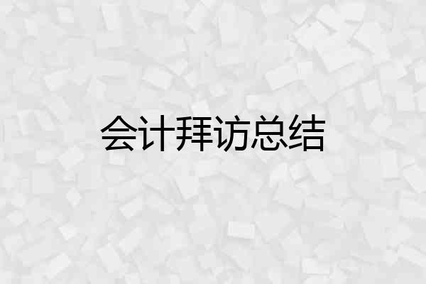 会计拜访总结