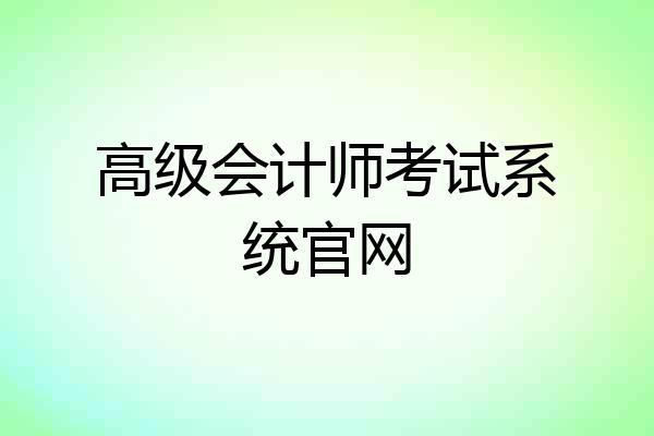 高级会计师考试系统官网