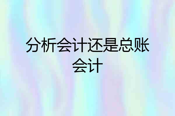 分析会计还是总账会计