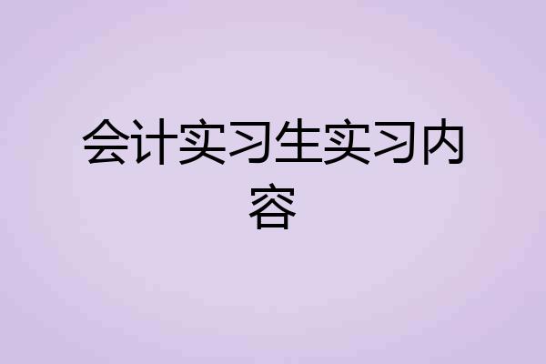 会计实习生实习内容