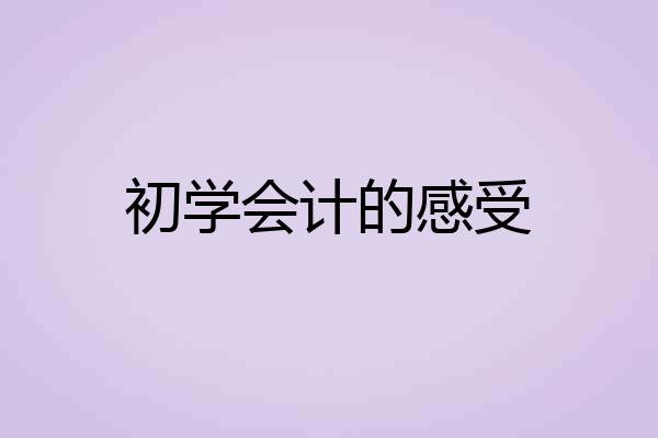 初学会计的感受