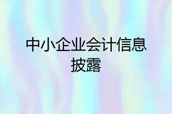 中小企业会计信息披露