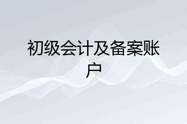 初级会计及备案账户