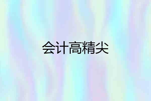 会计高精尖