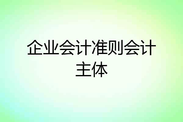 企业会计准则会计主体