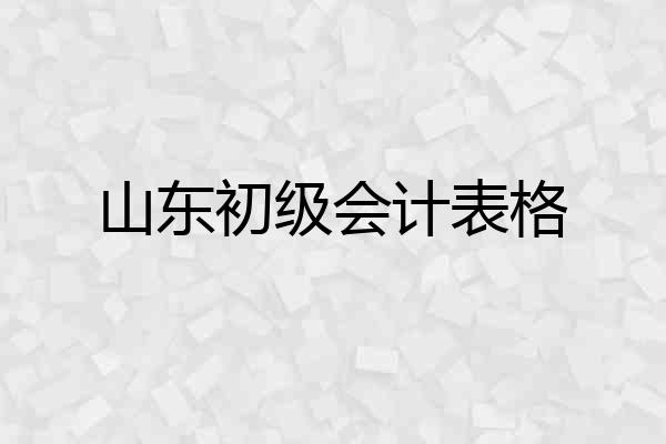 山东初级会计表格