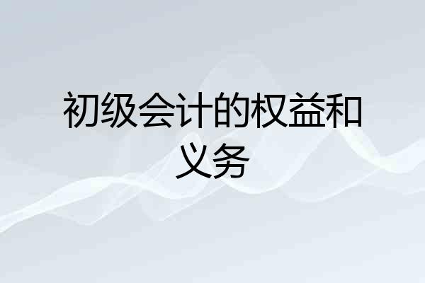 初级会计的权益和义务