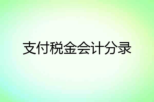 支付税金会计分录