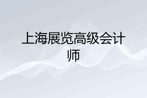 上海展览高级会计师