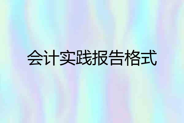 会计实践报告格式