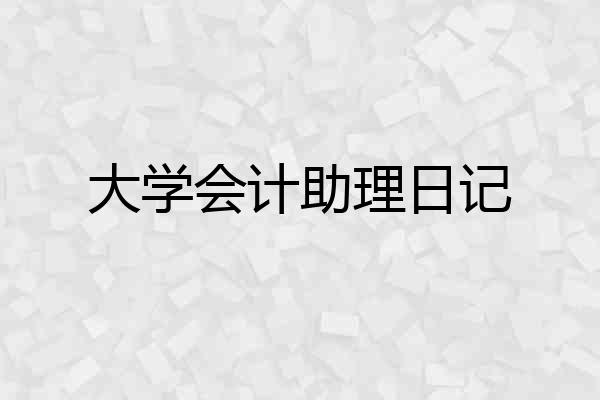 大学会计助理日记