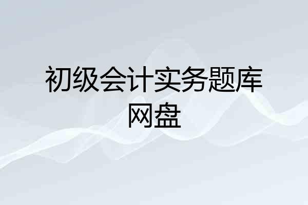 初级会计实务题库网盘