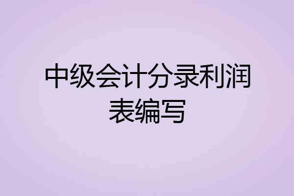 中级会计分录利润表编写