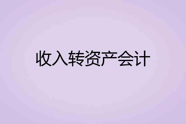 收入转资产会计