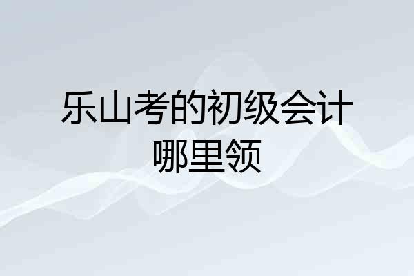 乐山考的初级会计哪里领
