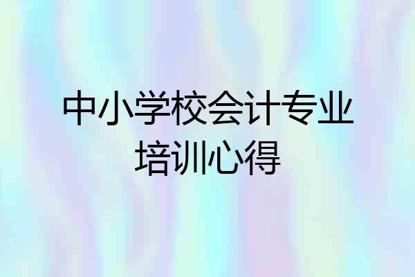 中小学校会计专业培训心得