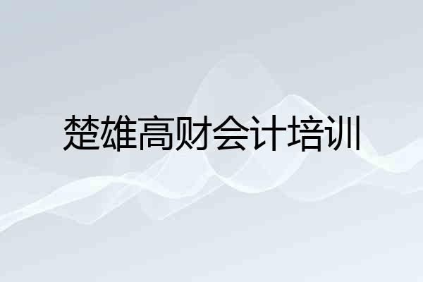 楚雄高财会计培训