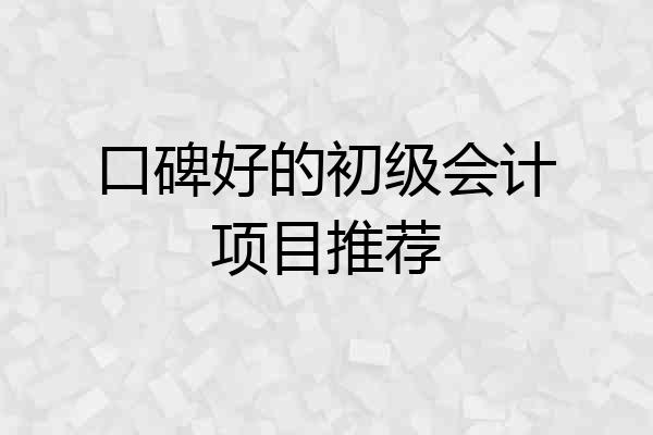 口碑好的初级会计项目推荐
