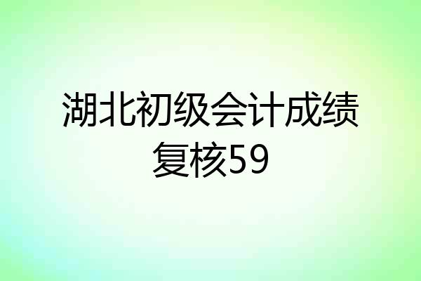 湖北初级会计成绩复核59