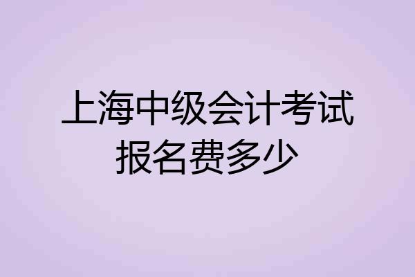 上海中级会计考试报名费多少