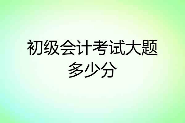初级会计考试大题多少分
