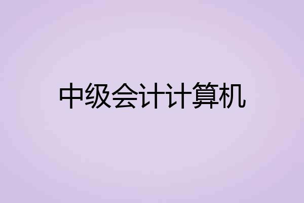 中级会计计算机