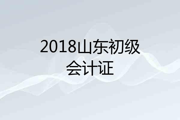 2018山东初级会计证