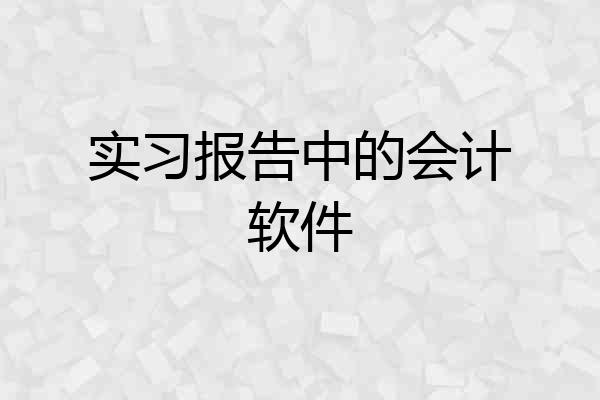 实习报告中的会计软件