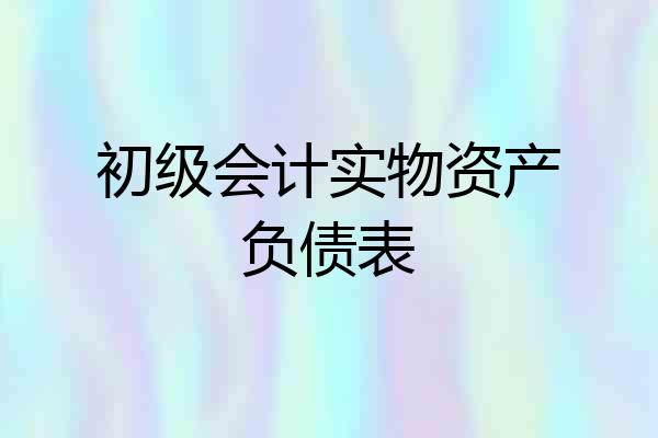 初级会计实物资产负债表