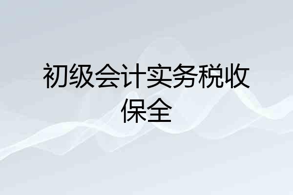 初级会计实务税收保全