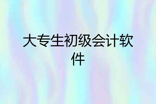 大专生初级会计软件