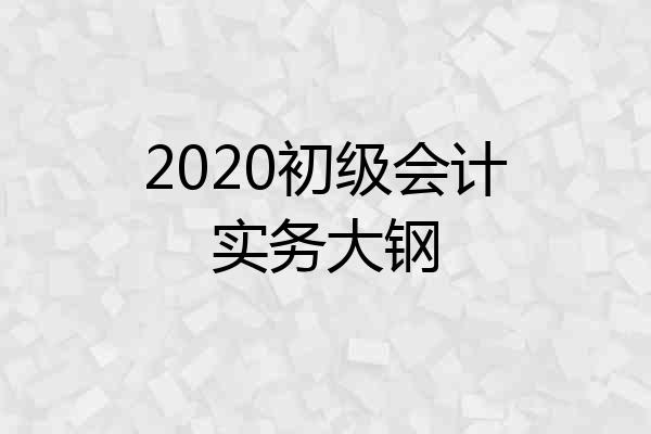 2020初级会计实务大钢