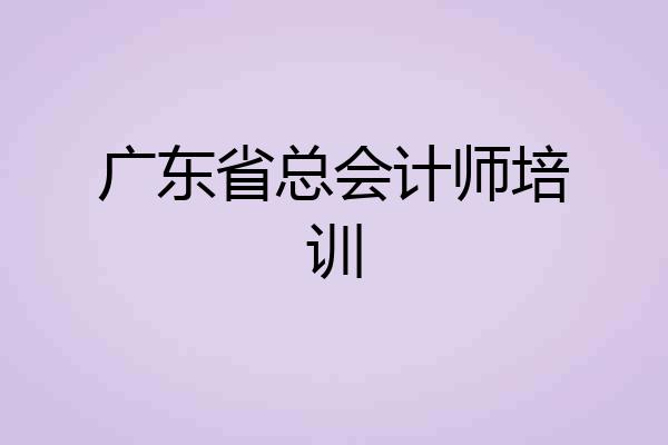 广东省总会计师培训