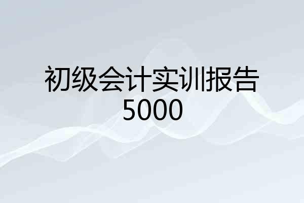 初级会计实训报告5000