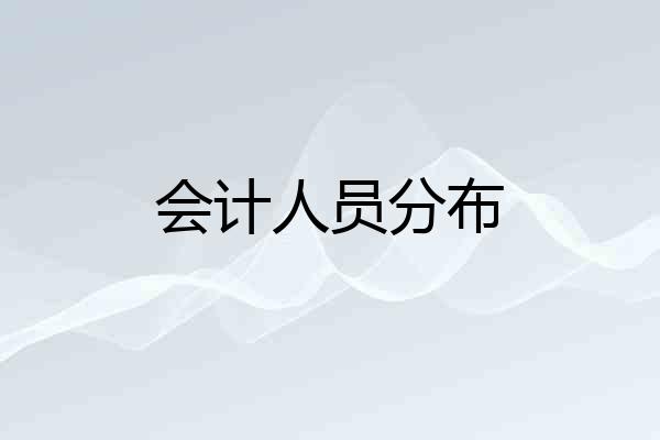 会计人员分布